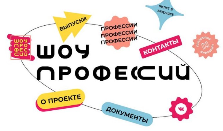 Шоу профессий. Профориентационный проект..